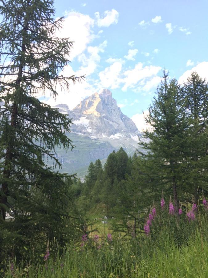 Complesso I Dadi - Condominio Cielo Alto Breuil-Cervinia Luaran gambar